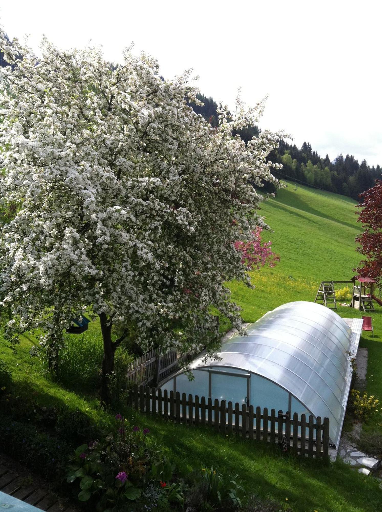 Ortnergut Farm stay