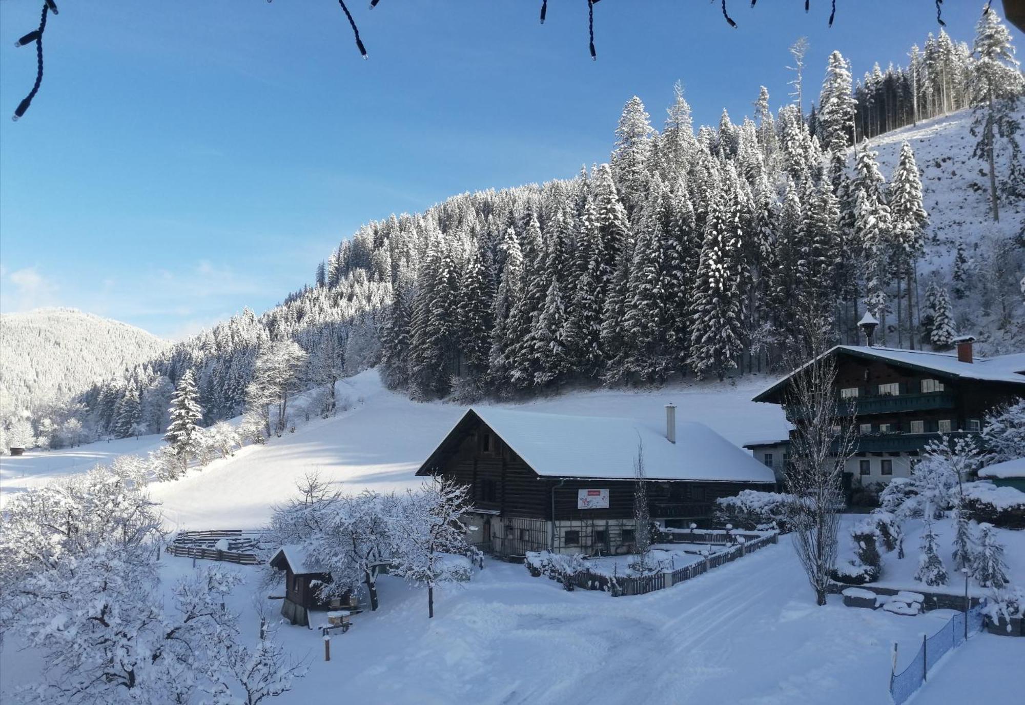 Farm stay Ortnergut Eben Im Pongau